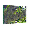 Canvas Stretched - Forest@Home - El Yunque - Recovering from Hurricane Maria - Color modified view of trunk reveals hidden details - Green Forest Home