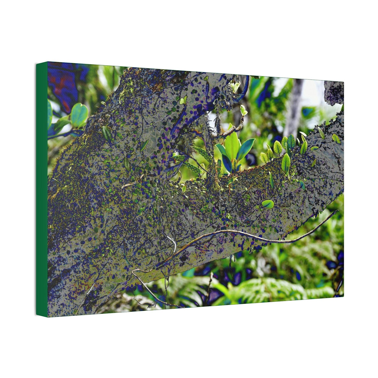 Canvas Stretched - Forest@Home - El Yunque - Recovering from Hurricane Maria - Color modified view of trunk reveals hidden details - Green Forest Home