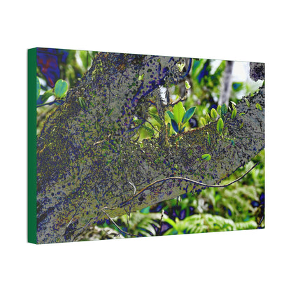 Canvas Stretched - Forest@Home - El Yunque - Recovering from Hurricane Maria - Color modified view of trunk reveals hidden details - Green Forest Home