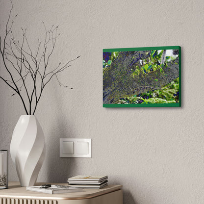 Canvas Stretched - Forest@Home - El Yunque - Recovering from Hurricane Maria - Color modified view of trunk reveals hidden details - Green Forest Home