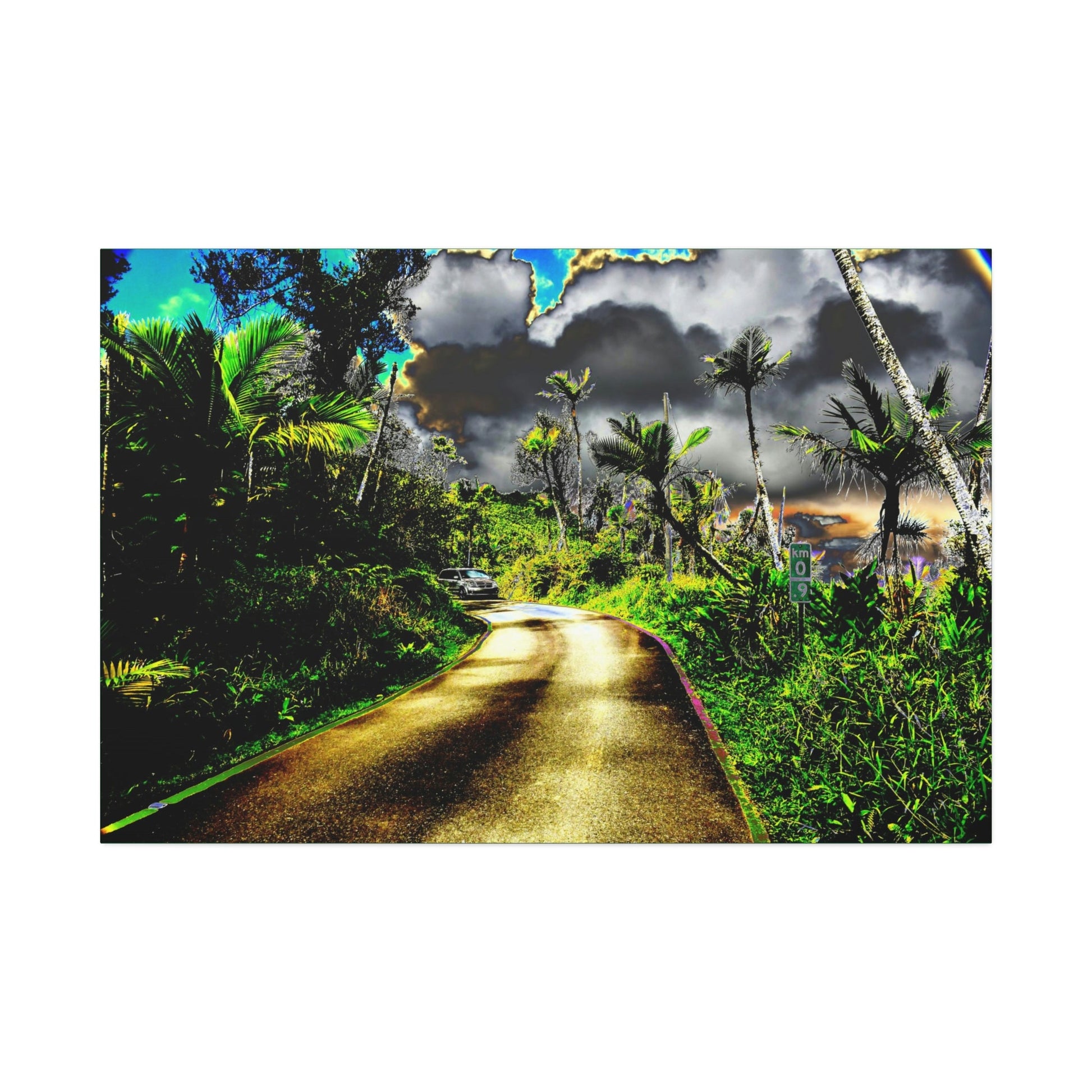 Canvas Stretched - Forest@Home - El Yunque - Recovering from Hurricane Maria - Color modified view road reveals amazing details - Green Forest Home