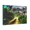 Canvas Stretched - Forest@Home - El Yunque - Recovering from Hurricane Maria - Color modified view road reveals amazing details - Green Forest Home