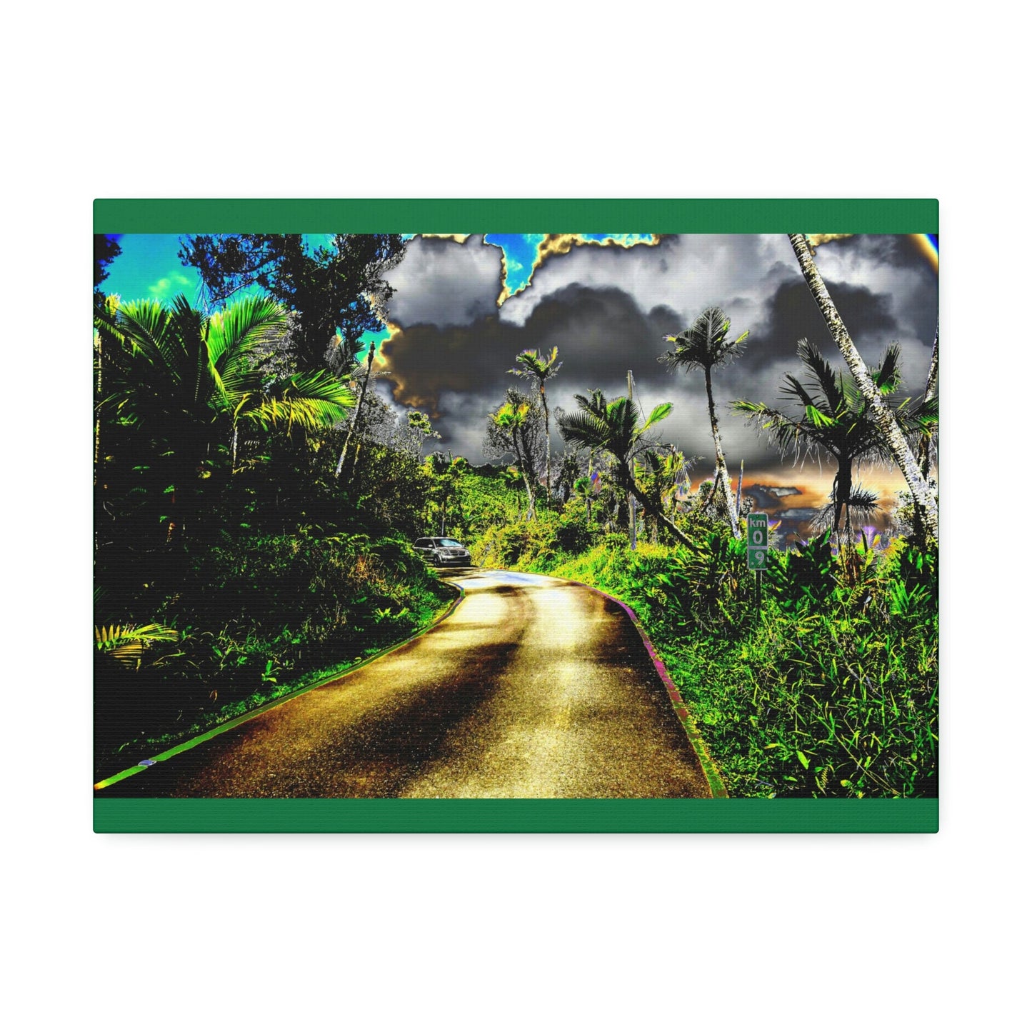 Canvas Stretched - Forest@Home - El Yunque - Recovering from Hurricane Maria - Color modified view road reveals amazing details - Green Forest Home