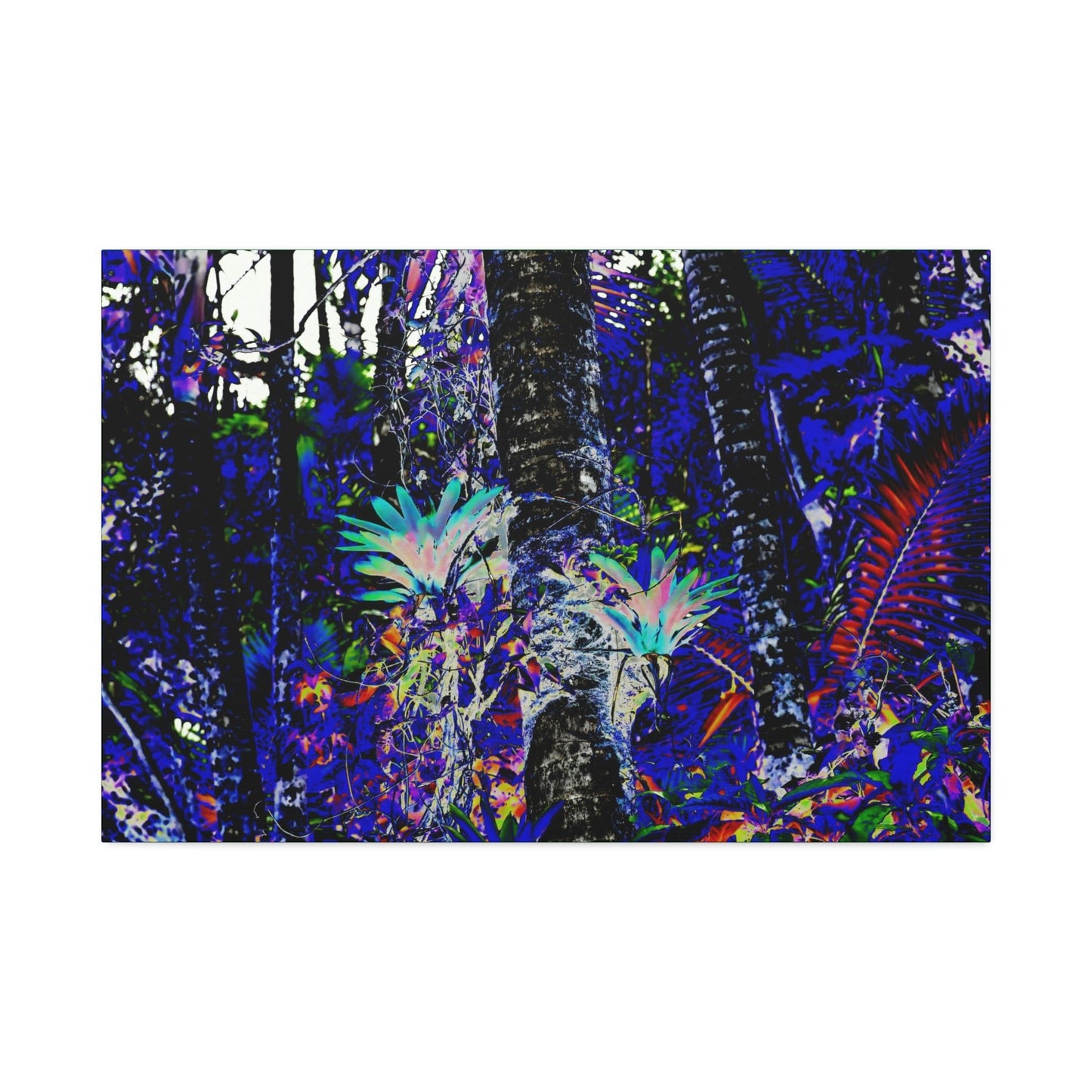 Canvas Stretched - Forest@Home - El Yunque - Recovering from Hurricane Maria - Color modified view turns Bromeliads blue in a dark forest - Green Forest Home