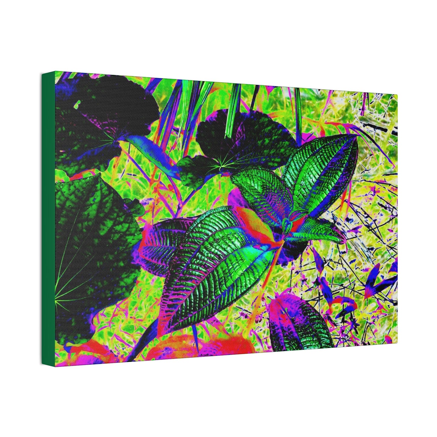 Canvas Stretched - Forest@Home - El Yunque - Recovering from Hurricane Maria - Common plants of EYNF color modified - Green Forest Home
