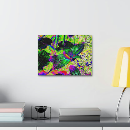 Canvas Stretched - Forest@Home - El Yunque - Recovering from Hurricane Maria - Common plants of EYNF color modified - Green Forest Home