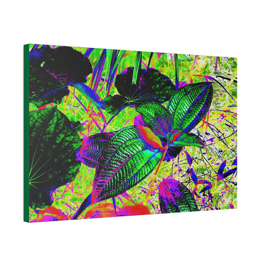 Canvas Stretched - Forest@Home - El Yunque - Recovering from Hurricane Maria - Common plants of EYNF color modified - Green Forest Home