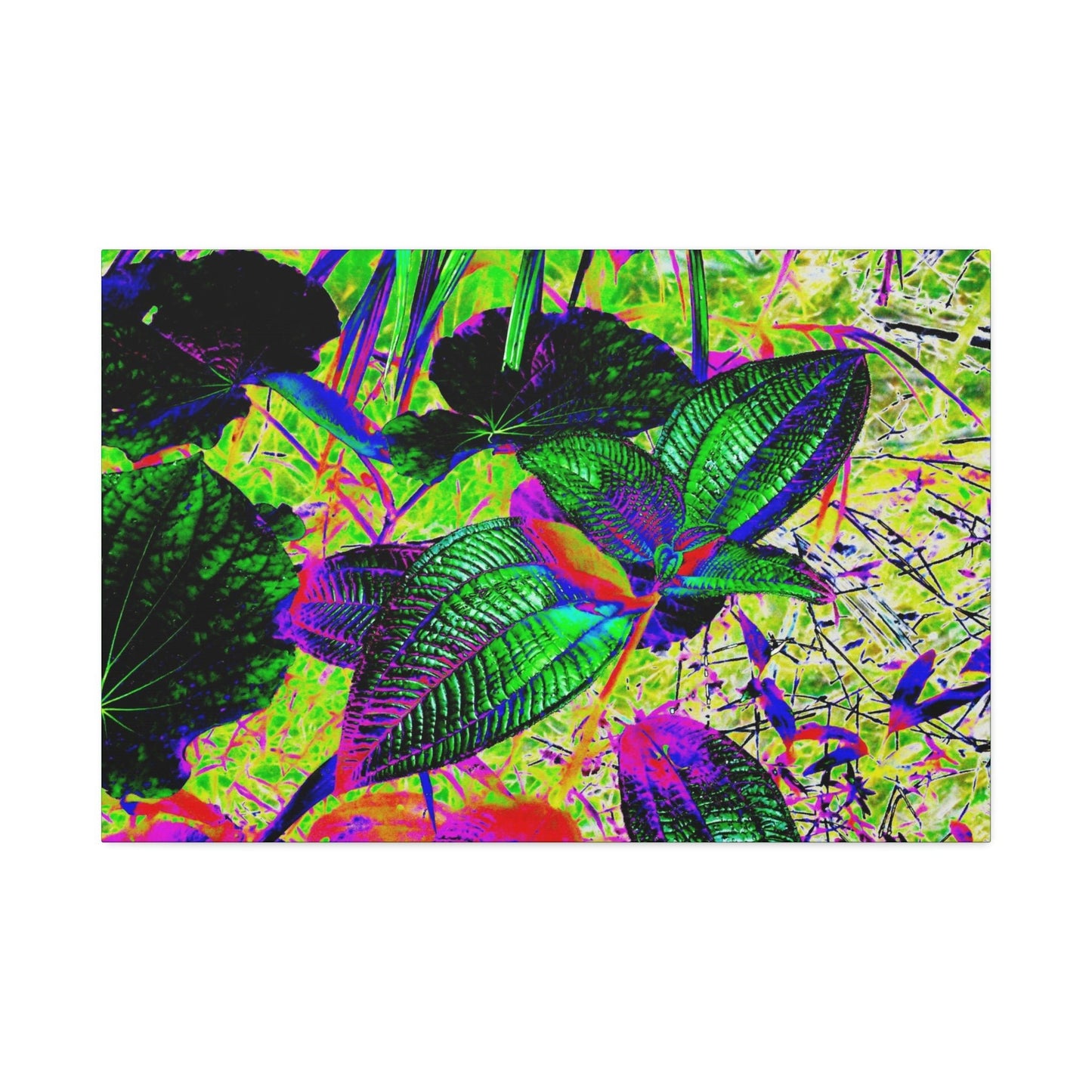 Canvas Stretched - Forest@Home - El Yunque - Recovering from Hurricane Maria - Common plants of EYNF color modified - Green Forest Home