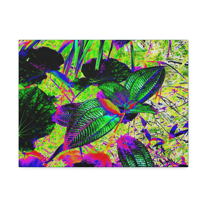 Canvas Stretched - Forest@Home - El Yunque - Recovering from Hurricane Maria - Common plants of EYNF color modified - Green Forest Home