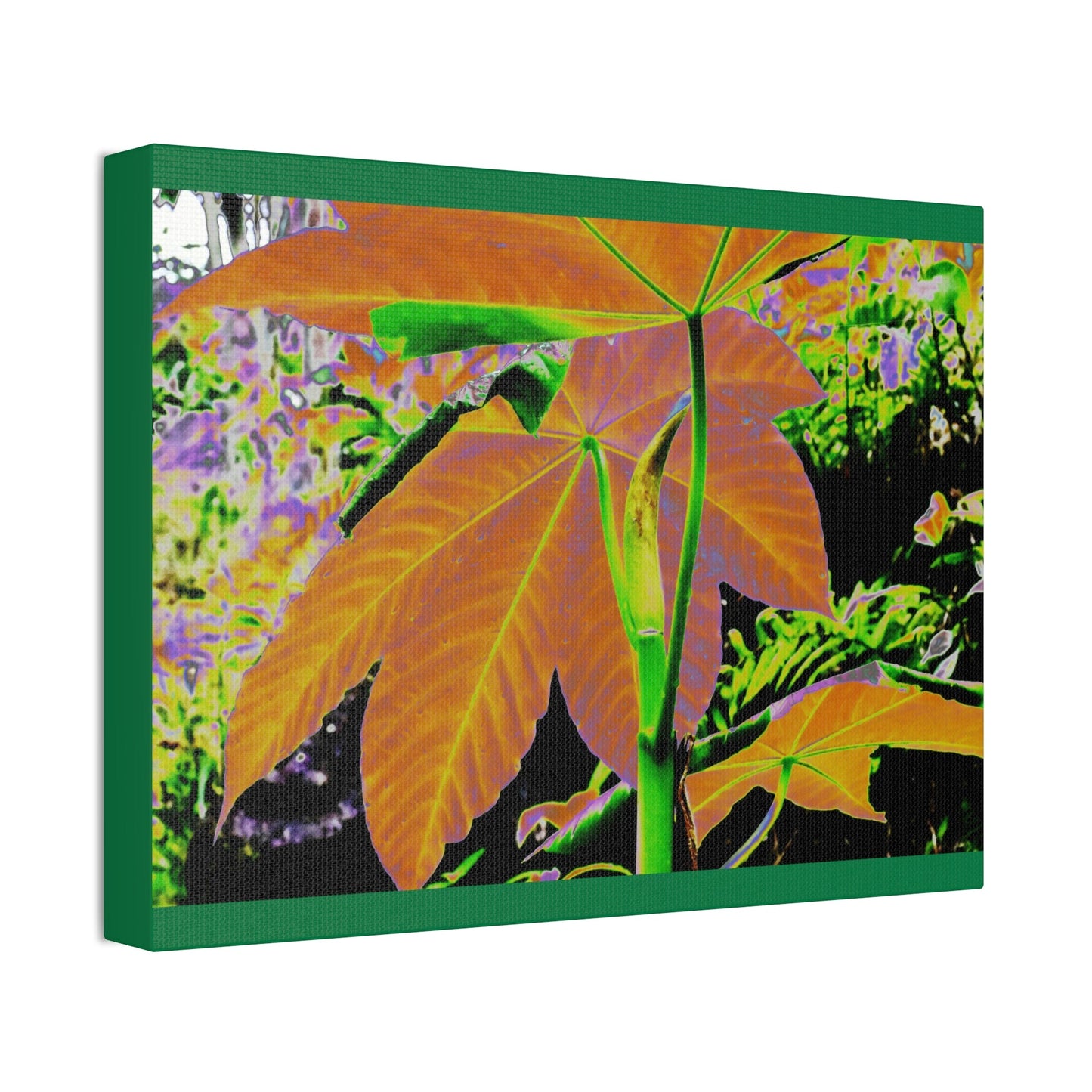 Canvas Stretched - Forest@Home - El Yunque - Recovering from Hurricane Maria - Common plants of EYNF Yagrumo sprouting tree color modified - Green Forest Home