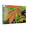 Canvas Stretched - Forest@Home - El Yunque - Recovering from Hurricane Maria - Common plants of EYNF Yagrumo sprouting tree color modified - Green Forest Home