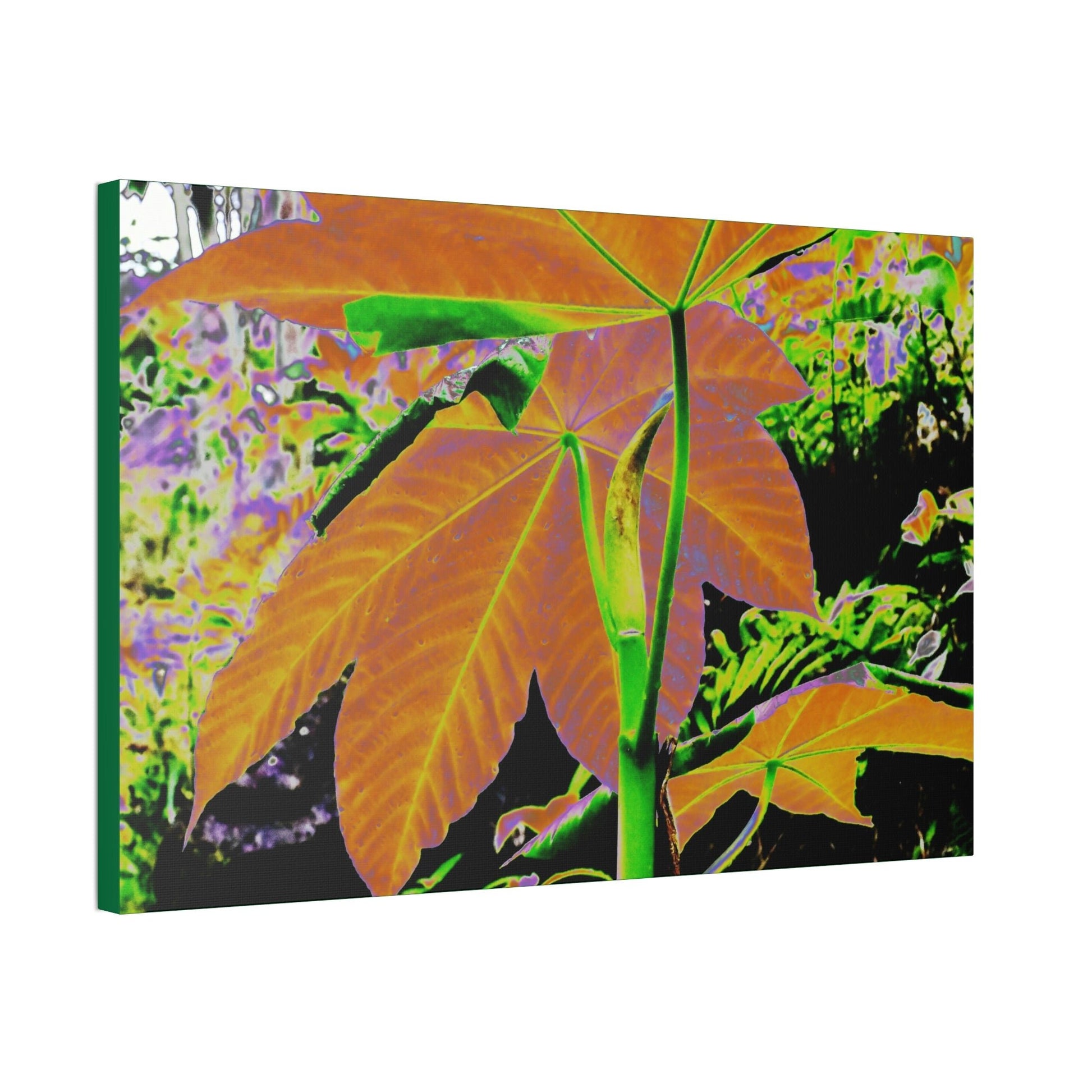 Canvas Stretched - Forest@Home - El Yunque - Recovering from Hurricane Maria - Common plants of EYNF Yagrumo sprouting tree color modified - Green Forest Home