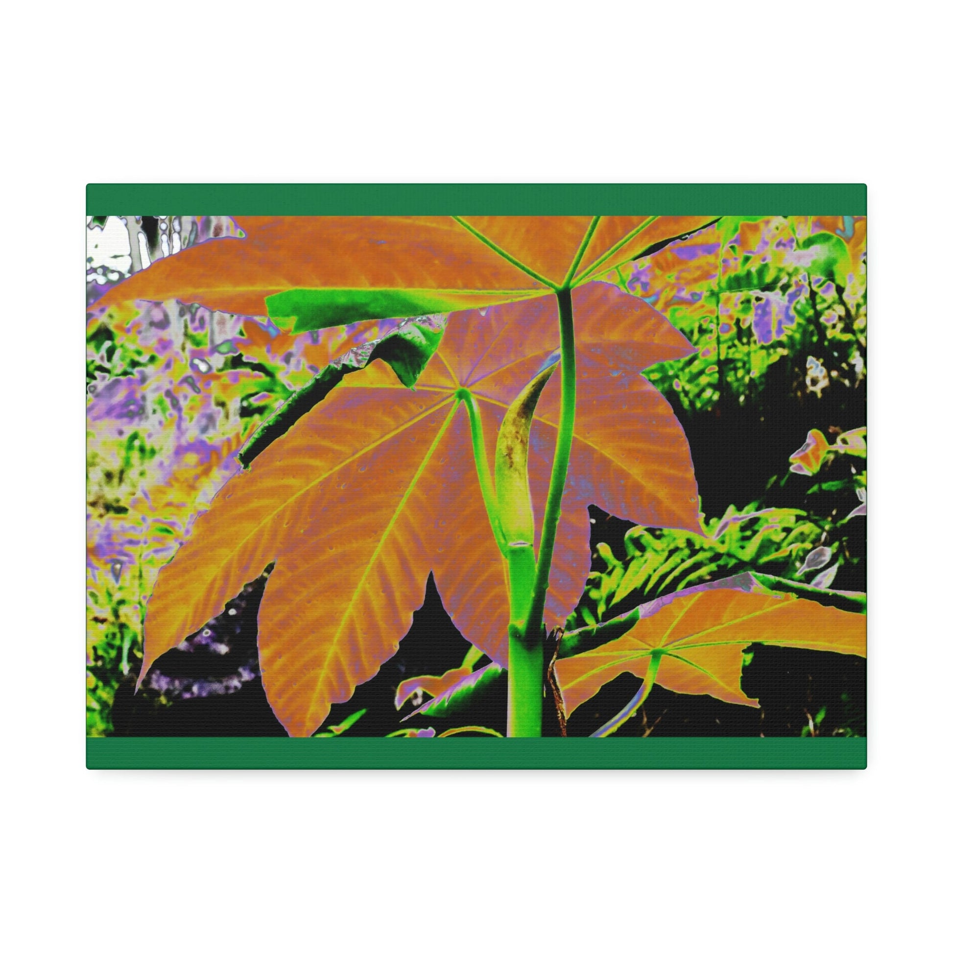 Canvas Stretched - Forest@Home - El Yunque - Recovering from Hurricane Maria - Common plants of EYNF Yagrumo sprouting tree color modified - Green Forest Home