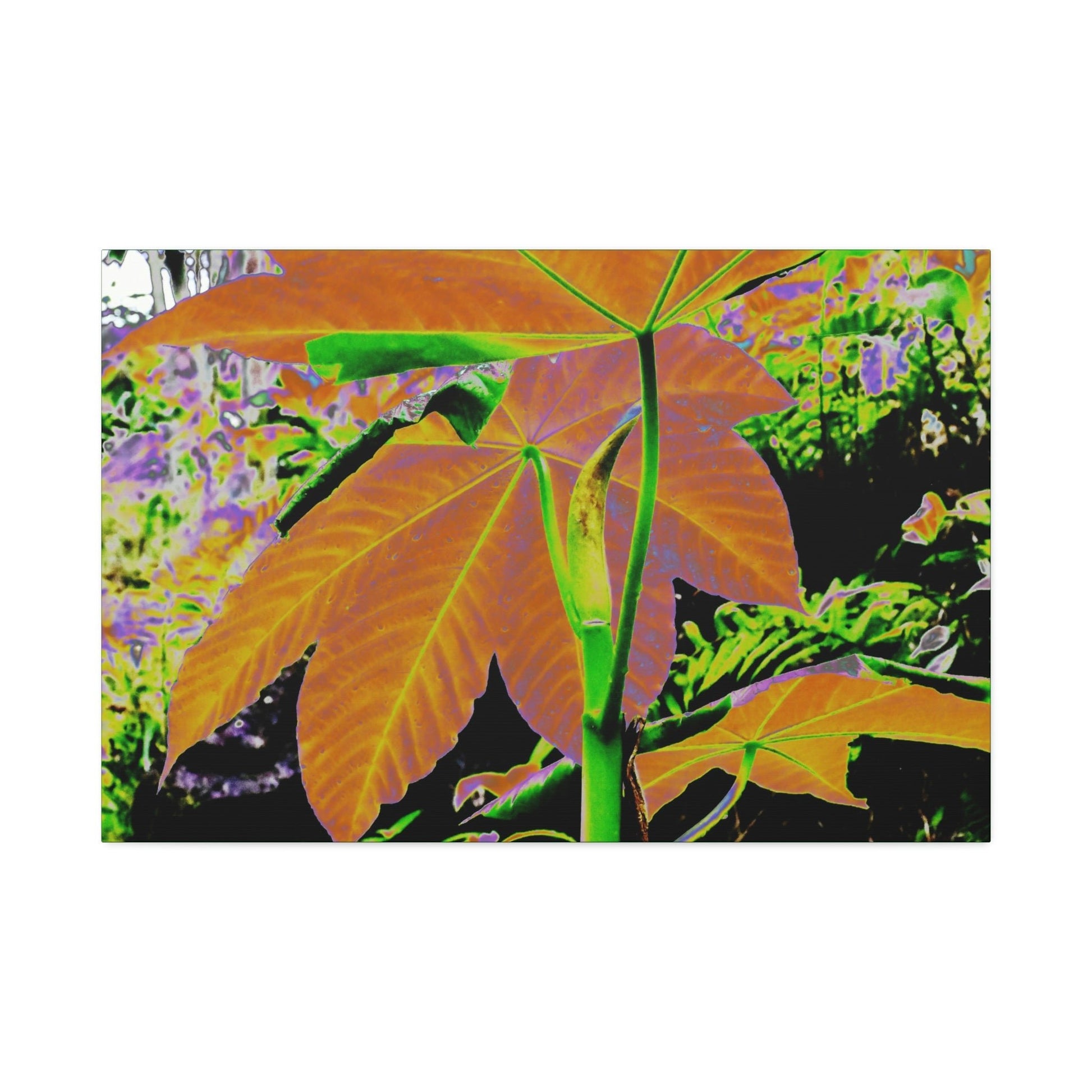 Canvas Stretched - Forest@Home - El Yunque - Recovering from Hurricane Maria - Common plants of EYNF Yagrumo sprouting tree color modified - Green Forest Home