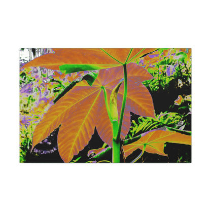 Canvas Stretched - Forest@Home - El Yunque - Recovering from Hurricane Maria - Common plants of EYNF Yagrumo sprouting tree color modified - Green Forest Home