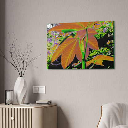 Canvas Stretched - Forest@Home - El Yunque - Recovering from Hurricane Maria - Common plants of EYNF Yagrumo sprouting tree color modified - Green Forest Home