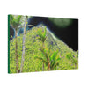 Canvas Stretched - Forest@Home - El Yunque - Recovering from Hurricane Maria - Dramatic view of Mt Britton color modified - Green Forest Home