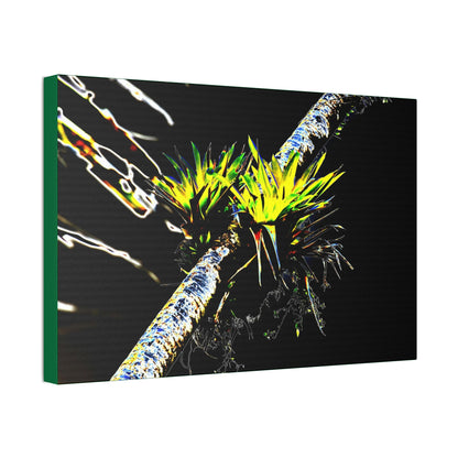 Canvas Stretched - Forest@Home - El Yunque - Recovering from Hurricane Maria - Dramatic work of art by Bromeilad in a Sierra Palm & sky - Green Forest Home