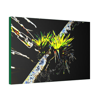 Canvas Stretched - Forest@Home - El Yunque - Recovering from Hurricane Maria - Dramatic work of art by Bromeilad in a Sierra Palm & sky - Green Forest Home