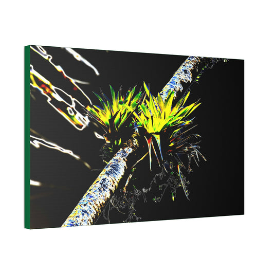 Canvas Stretched - Forest@Home - El Yunque - Recovering from Hurricane Maria - Dramatic work of art by Bromeilad in a Sierra Palm & sky - Green Forest Home
