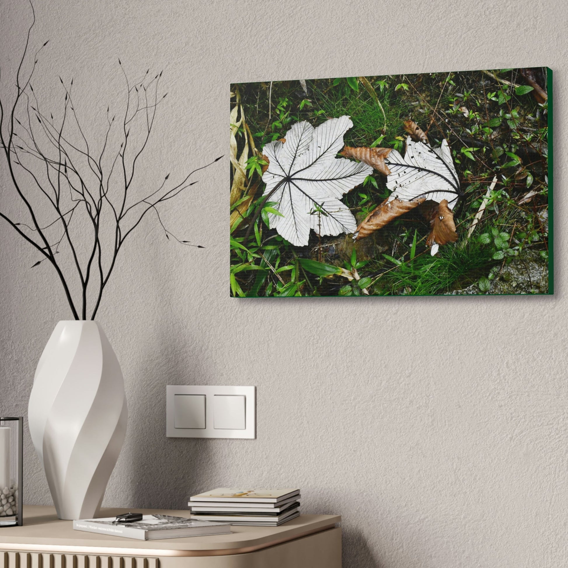 Canvas Stretched - Forest@Home - El Yunque - Recovering from Hurricane Maria - Fallen pair of Yagrumo leafs - Tradewinds - Green Forest Home