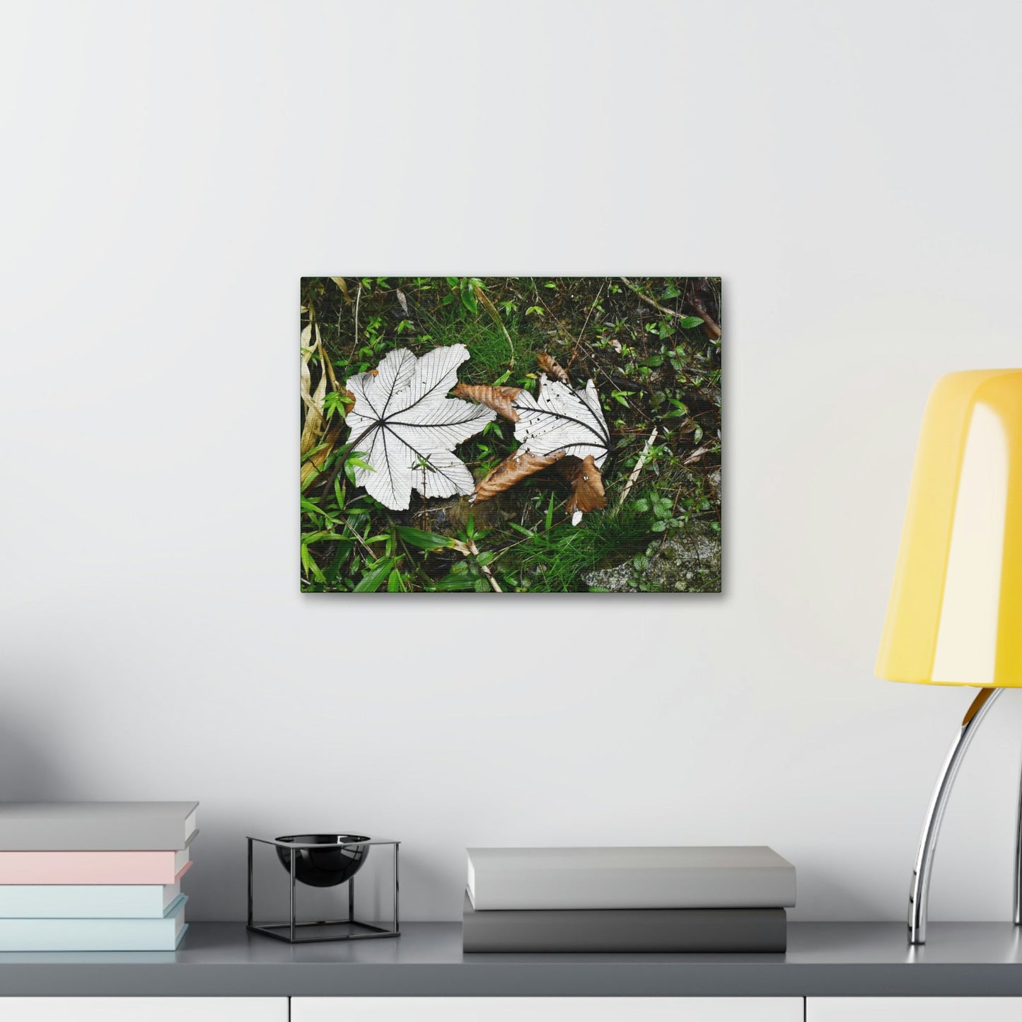 Canvas Stretched - Forest@Home - El Yunque - Recovering from Hurricane Maria - Fallen pair of Yagrumo leafs - Tradewinds - Green Forest Home