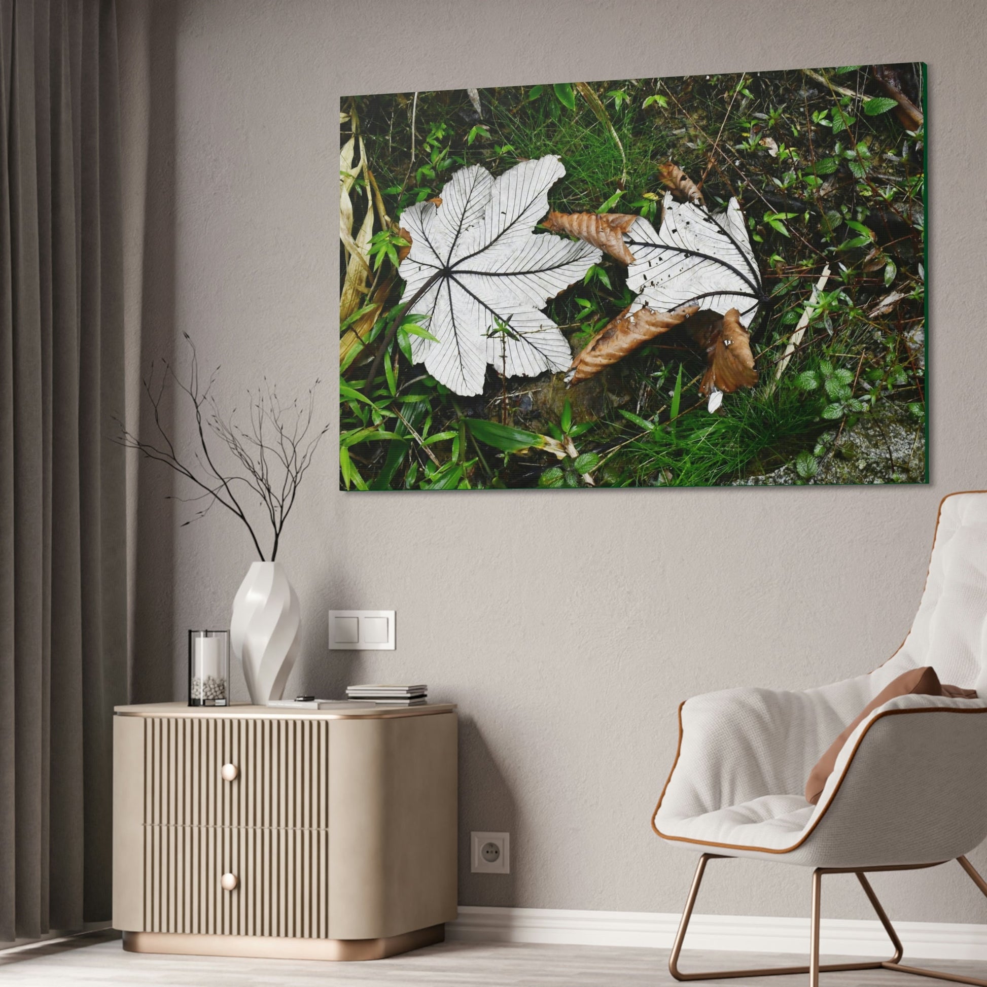 Canvas Stretched - Forest@Home - El Yunque - Recovering from Hurricane Maria - Fallen pair of Yagrumo leafs - Tradewinds - Green Forest Home