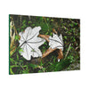 Canvas Stretched - Forest@Home - El Yunque - Recovering from Hurricane Maria - Fallen pair of Yagrumo leafs - Tradewinds - Green Forest Home
