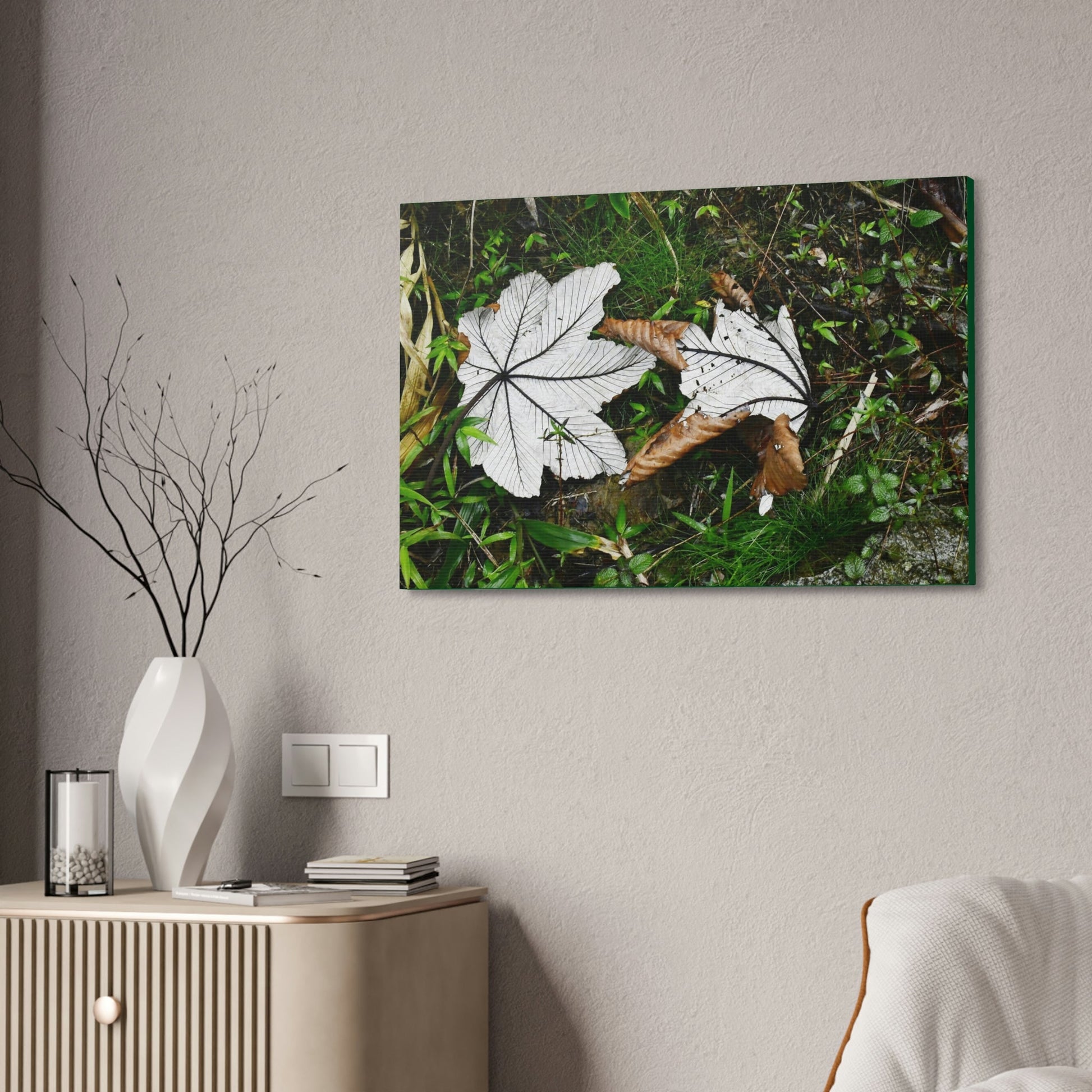 Canvas Stretched - Forest@Home - El Yunque - Recovering from Hurricane Maria - Fallen pair of Yagrumo leafs - Tradewinds - Green Forest Home