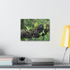 Canvas Stretched - Forest@Home - El Yunque - Recovering from Hurricane Maria - Fallen trunk is home to many plants - Green Forest Home