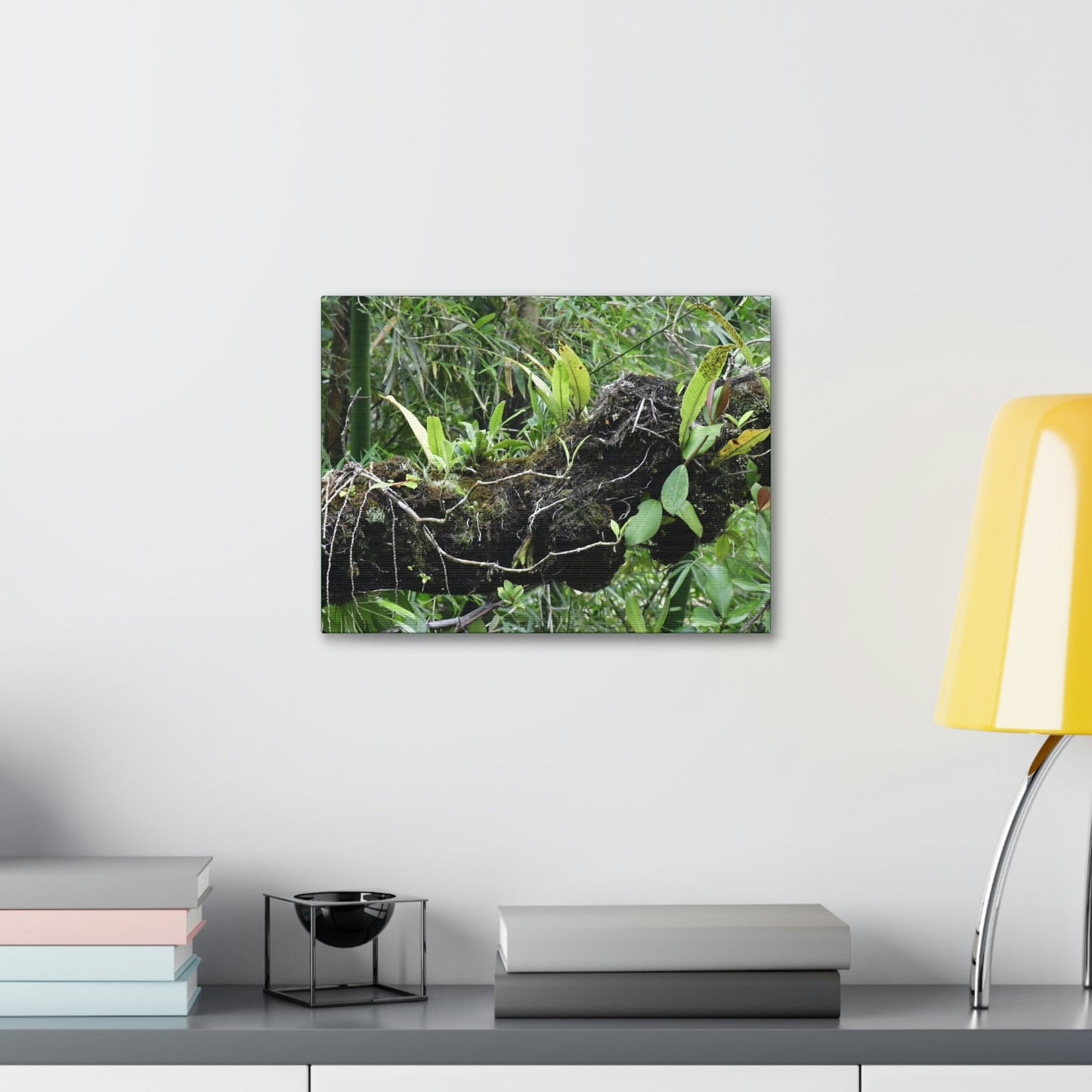 Canvas Stretched - Forest@Home - El Yunque - Recovering from Hurricane Maria - Fallen trunk is home to many plants - Green Forest Home