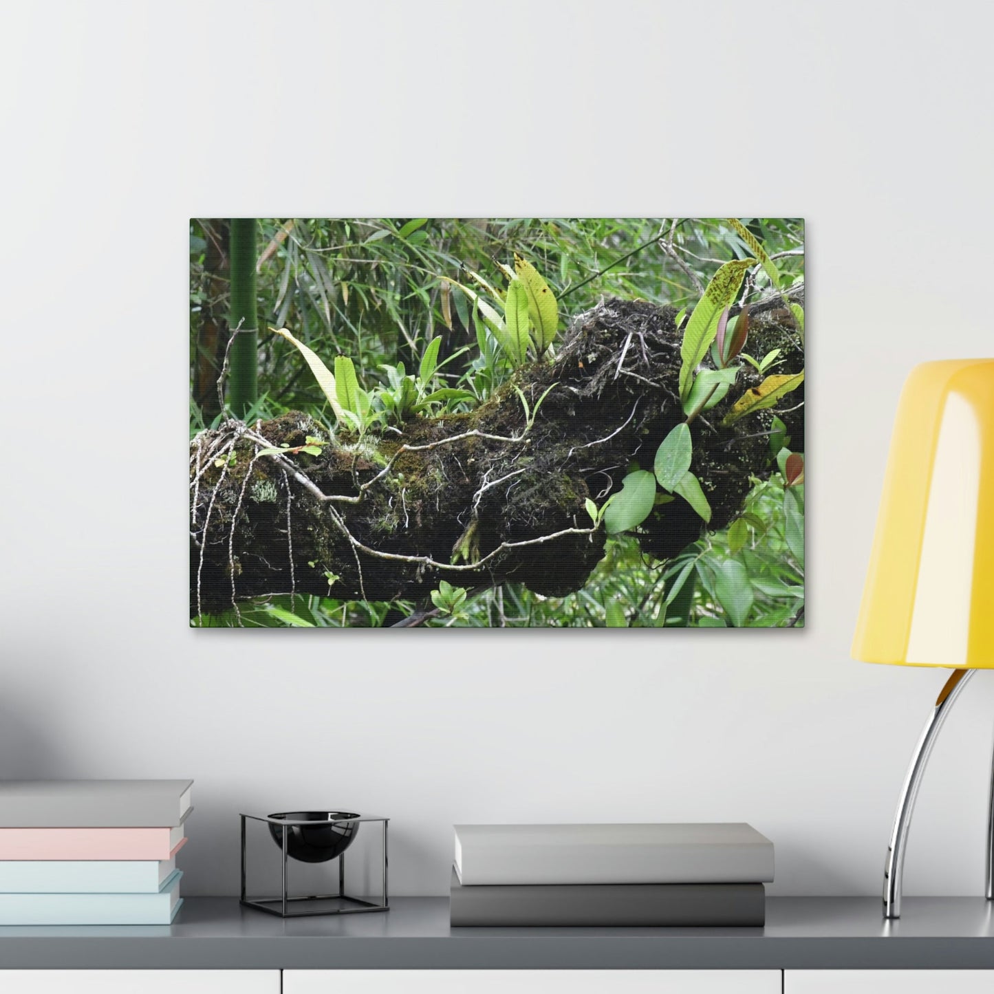 Canvas Stretched - Forest@Home - El Yunque - Recovering from Hurricane Maria - Fallen trunk is home to many plants - Green Forest Home