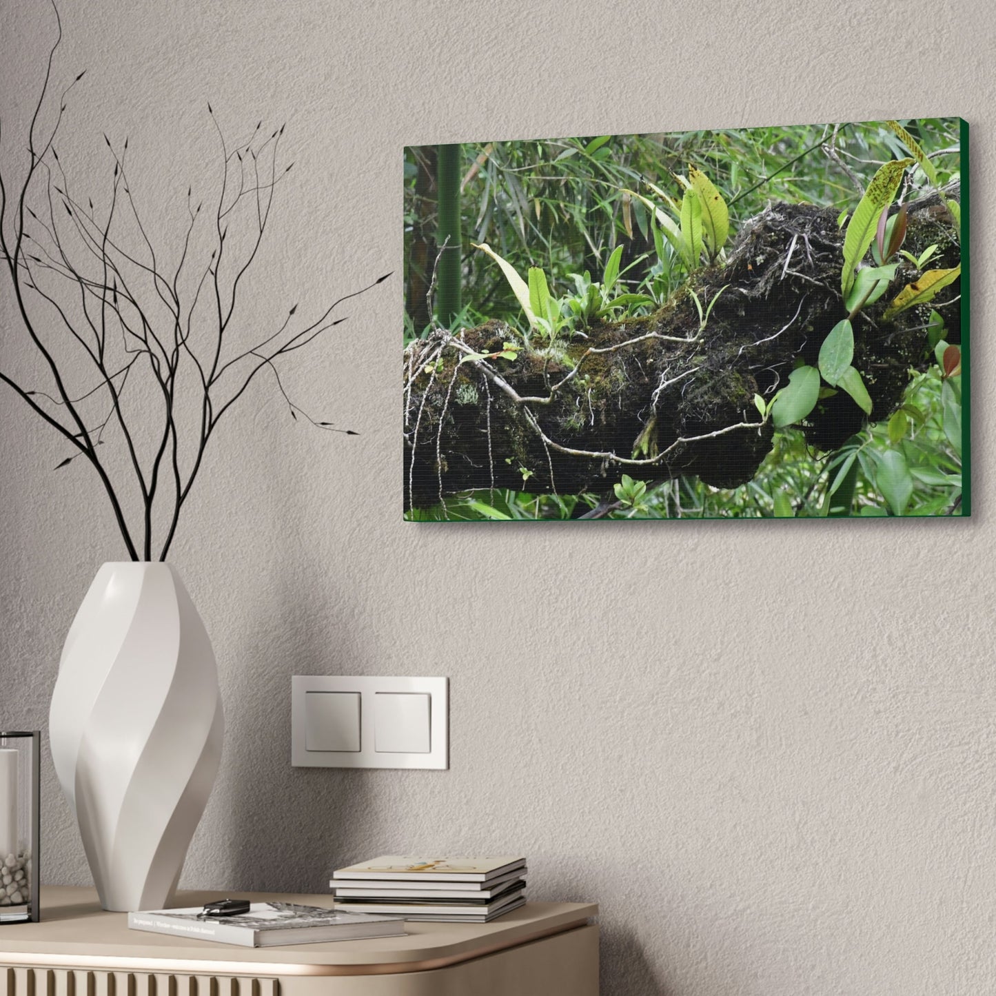 Canvas Stretched - Forest@Home - El Yunque - Recovering from Hurricane Maria - Fallen trunk is home to many plants - Green Forest Home