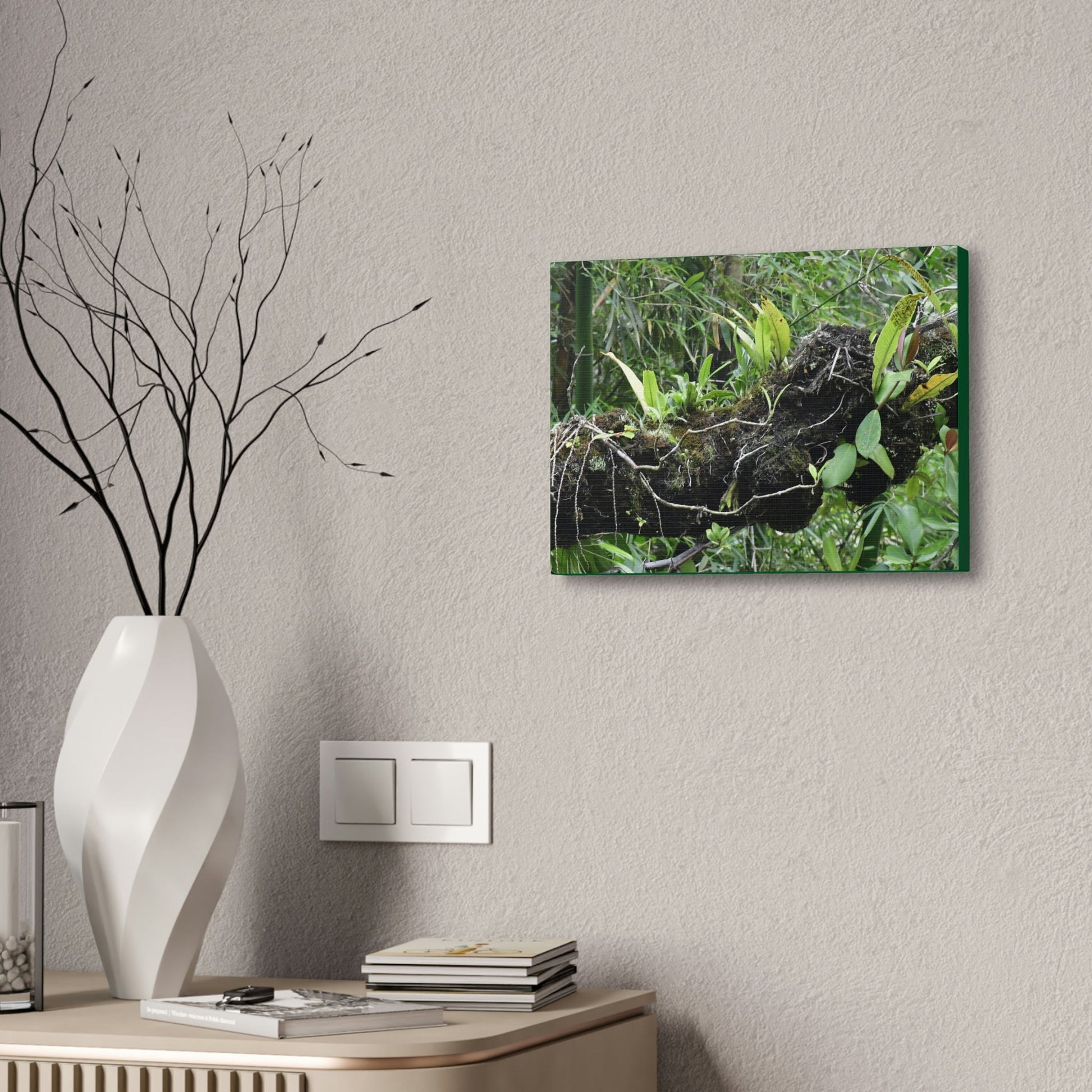 Canvas Stretched - Forest@Home - El Yunque - Recovering from Hurricane Maria - Fallen trunk is home to many plants - Green Forest Home