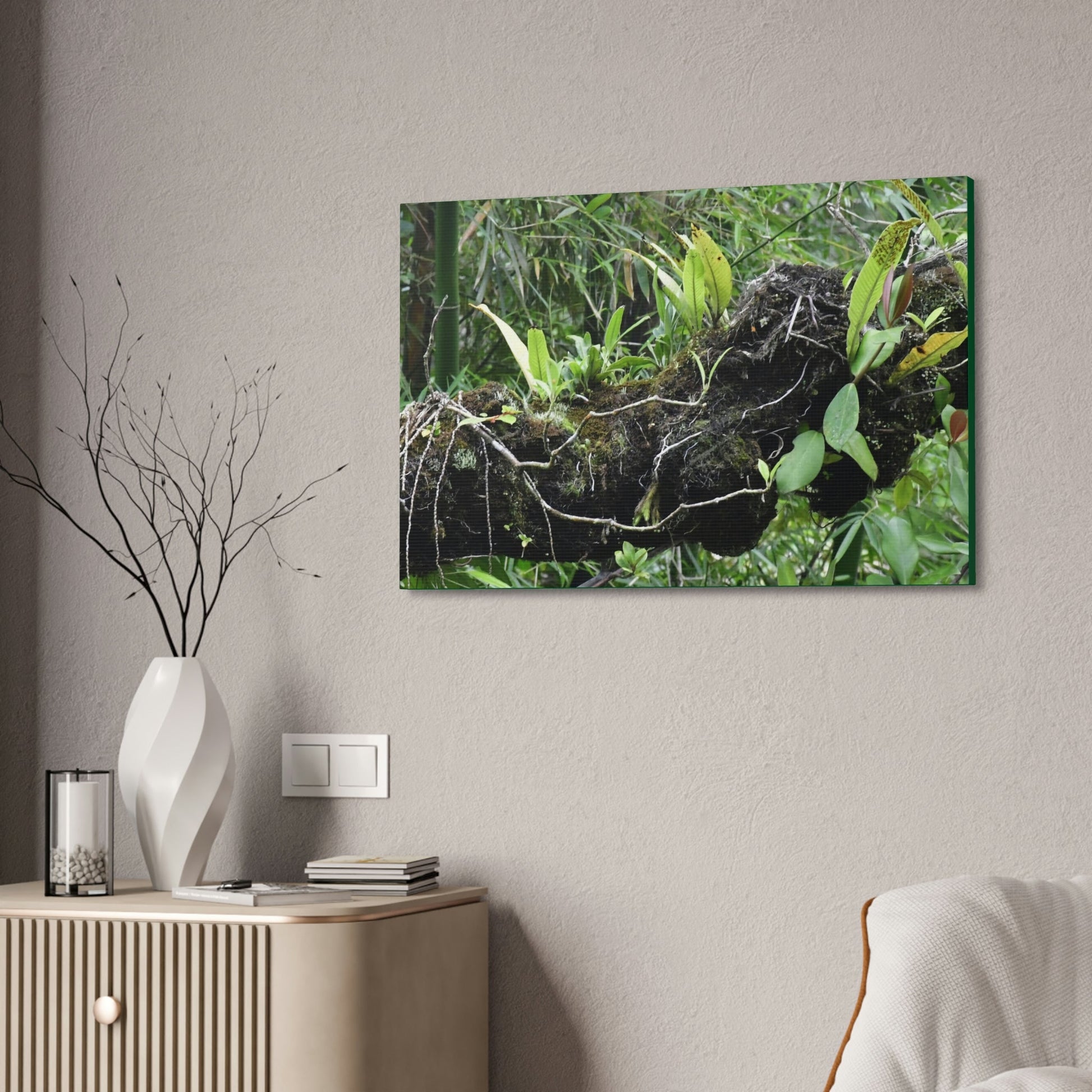Canvas Stretched - Forest@Home - El Yunque - Recovering from Hurricane Maria - Fallen trunk is home to many plants - Green Forest Home