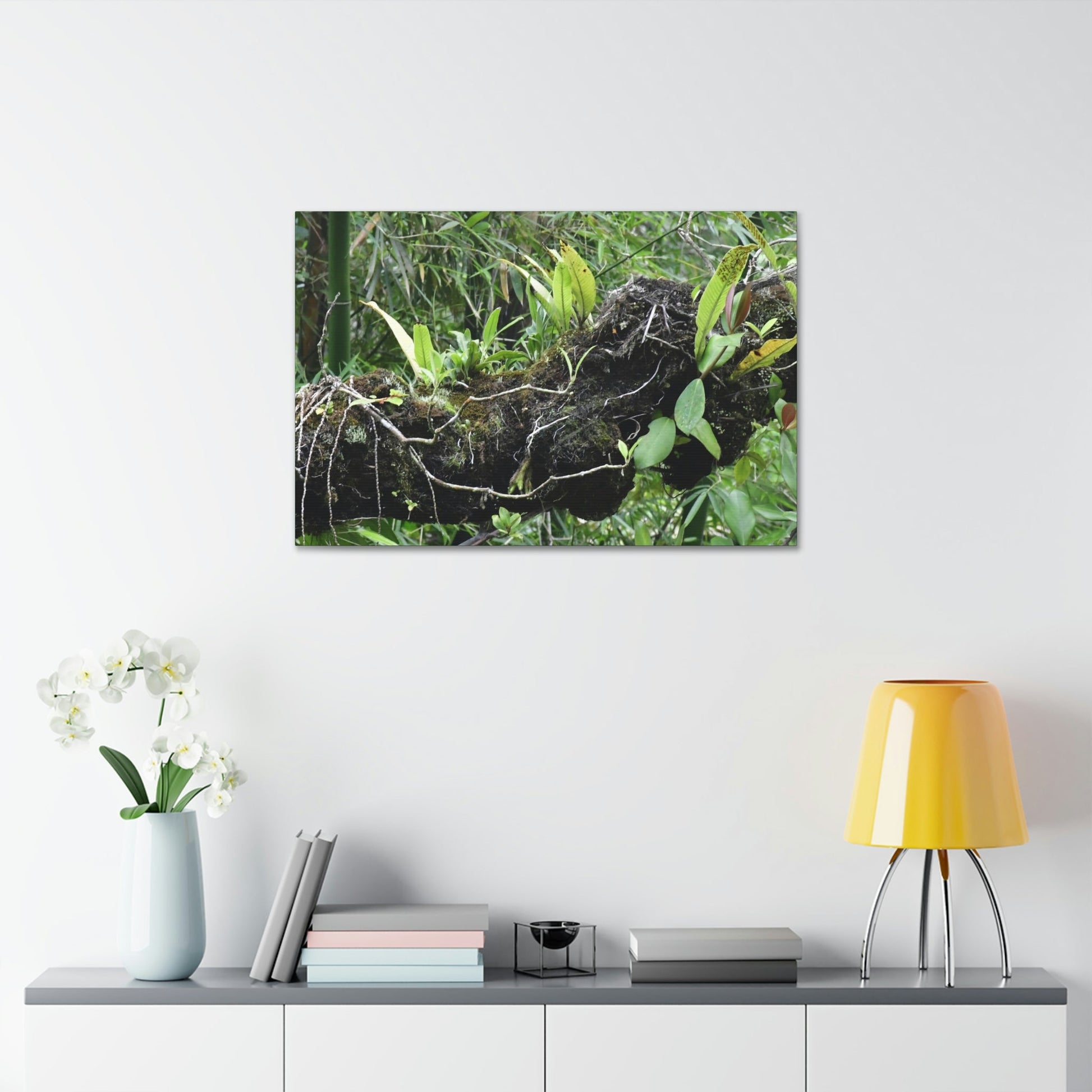 Canvas Stretched - Forest@Home - El Yunque - Recovering from Hurricane Maria - Fallen trunk is home to many plants - Green Forest Home