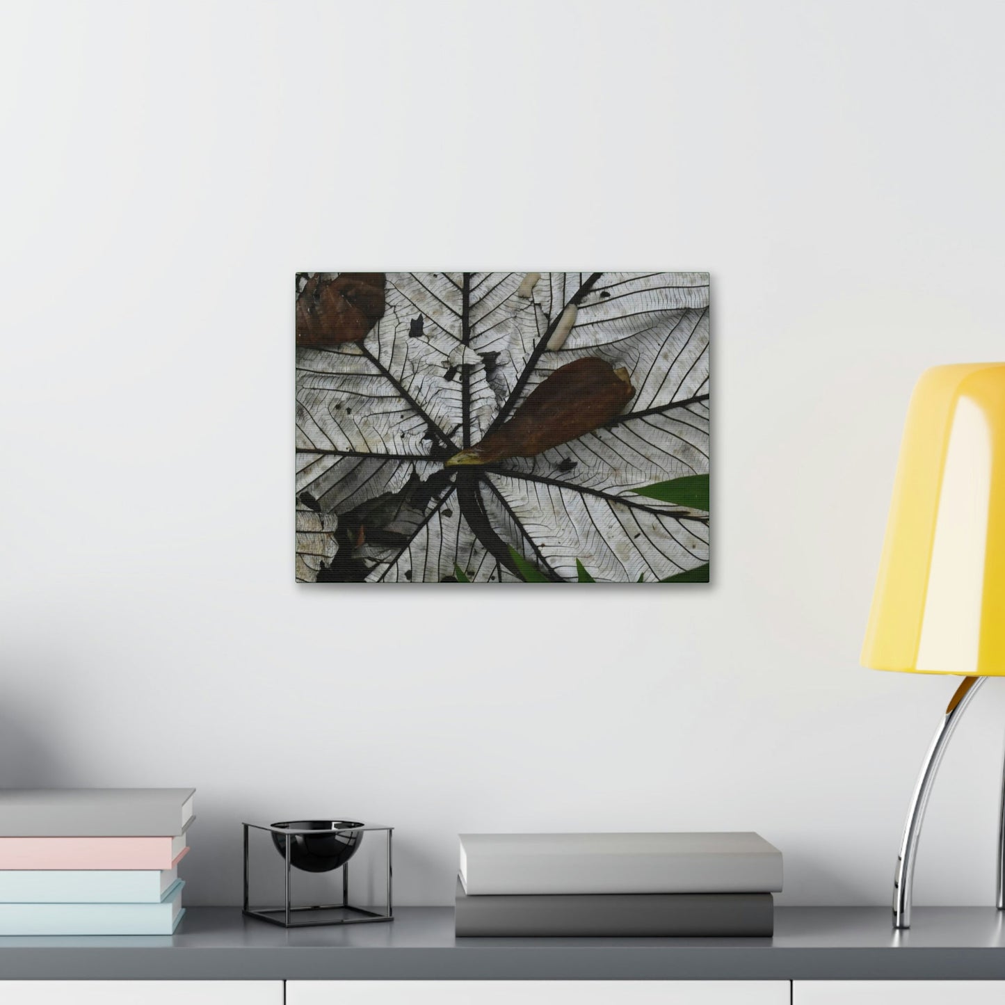 Canvas Stretched - Forest@Home - El Yunque - Recovering from Hurricane Maria - Fallen Yagrumo leaf in and leaf cover - Tradwinds - Green Forest Home