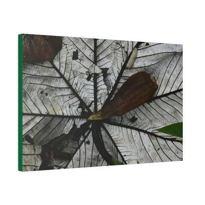 Canvas Stretched - Forest@Home - El Yunque - Recovering from Hurricane Maria - Fallen Yagrumo leaf in and leaf cover - Tradwinds - Green Forest Home