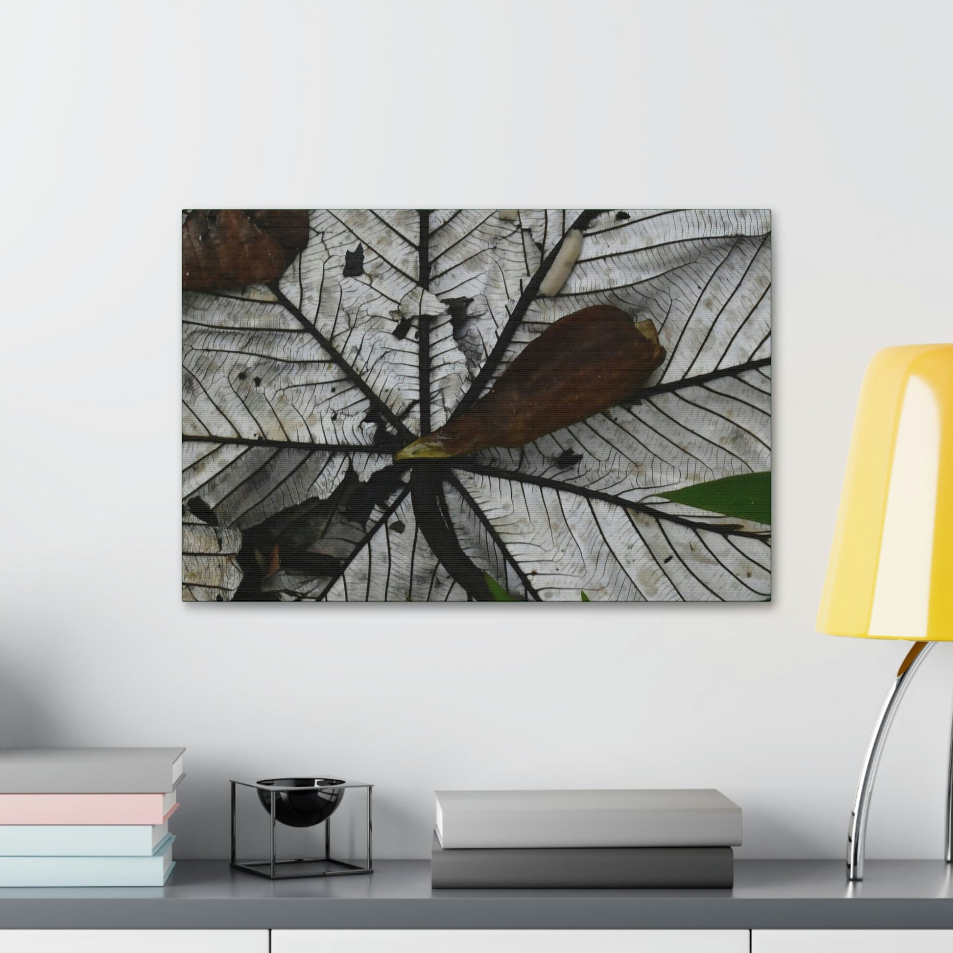 Canvas Stretched - Forest@Home - El Yunque - Recovering from Hurricane Maria - Fallen Yagrumo leaf in and leaf cover - Tradwinds - Green Forest Home