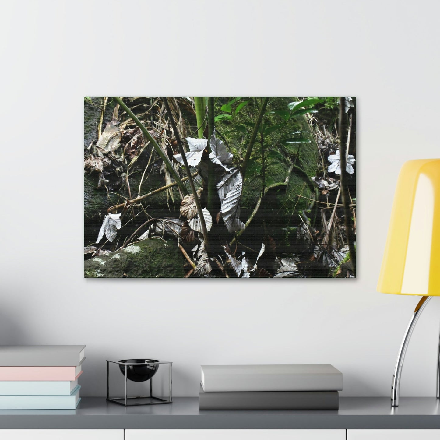 Canvas Stretched - Forest@Home - El Yunque - Recovering from Hurricane Maria - Fallen Yagrumo leaf in palm tree - Tradewinds - Green Forest Home