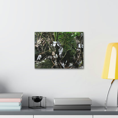 Canvas Stretched - Forest@Home - El Yunque - Recovering from Hurricane Maria - Fallen Yagrumo leaf in palm tree - Tradewinds - Green Forest Home