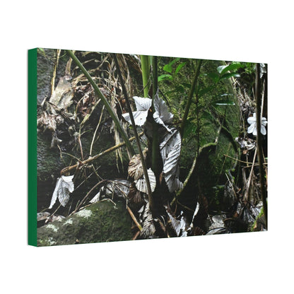 Canvas Stretched - Forest@Home - El Yunque - Recovering from Hurricane Maria - Fallen Yagrumo leaf in palm tree - Tradewinds - Green Forest Home