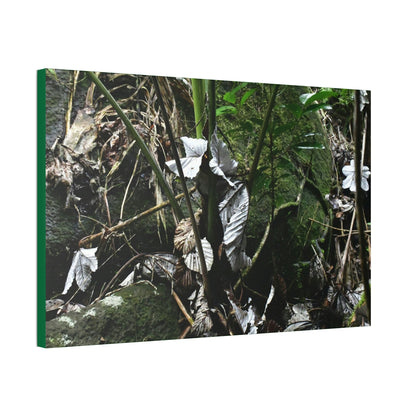 Canvas Stretched - Forest@Home - El Yunque - Recovering from Hurricane Maria - Fallen Yagrumo leaf in palm tree - Tradewinds - Green Forest Home