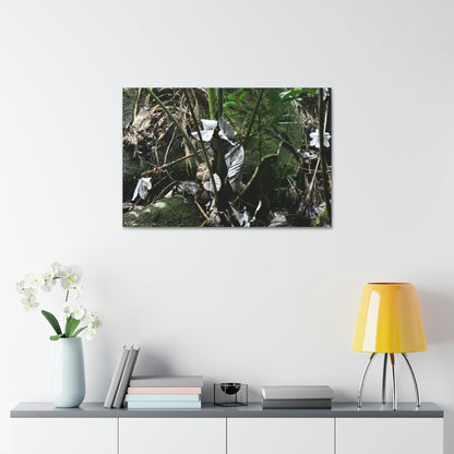 Canvas Stretched - Forest@Home - El Yunque - Recovering from Hurricane Maria - Fallen Yagrumo leaf in palm tree - Tradewinds - Green Forest Home