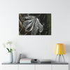 Canvas Stretched - Forest@Home - El Yunque - Recovering from Hurricane Maria - Fallen Yagrumo leaf in Tradewinds - Green Forest Home