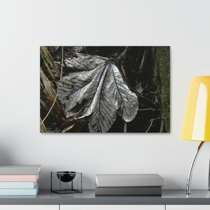 Canvas Stretched - Forest@Home - El Yunque - Recovering from Hurricane Maria - Fallen Yagrumo leaf in Tradewinds - Green Forest Home