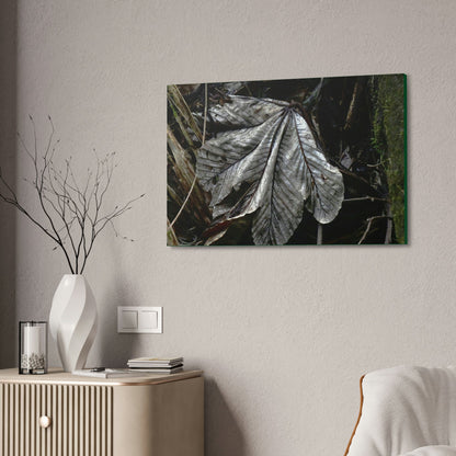 Canvas Stretched - Forest@Home - El Yunque - Recovering from Hurricane Maria - Fallen Yagrumo leaf in Tradewinds - Green Forest Home