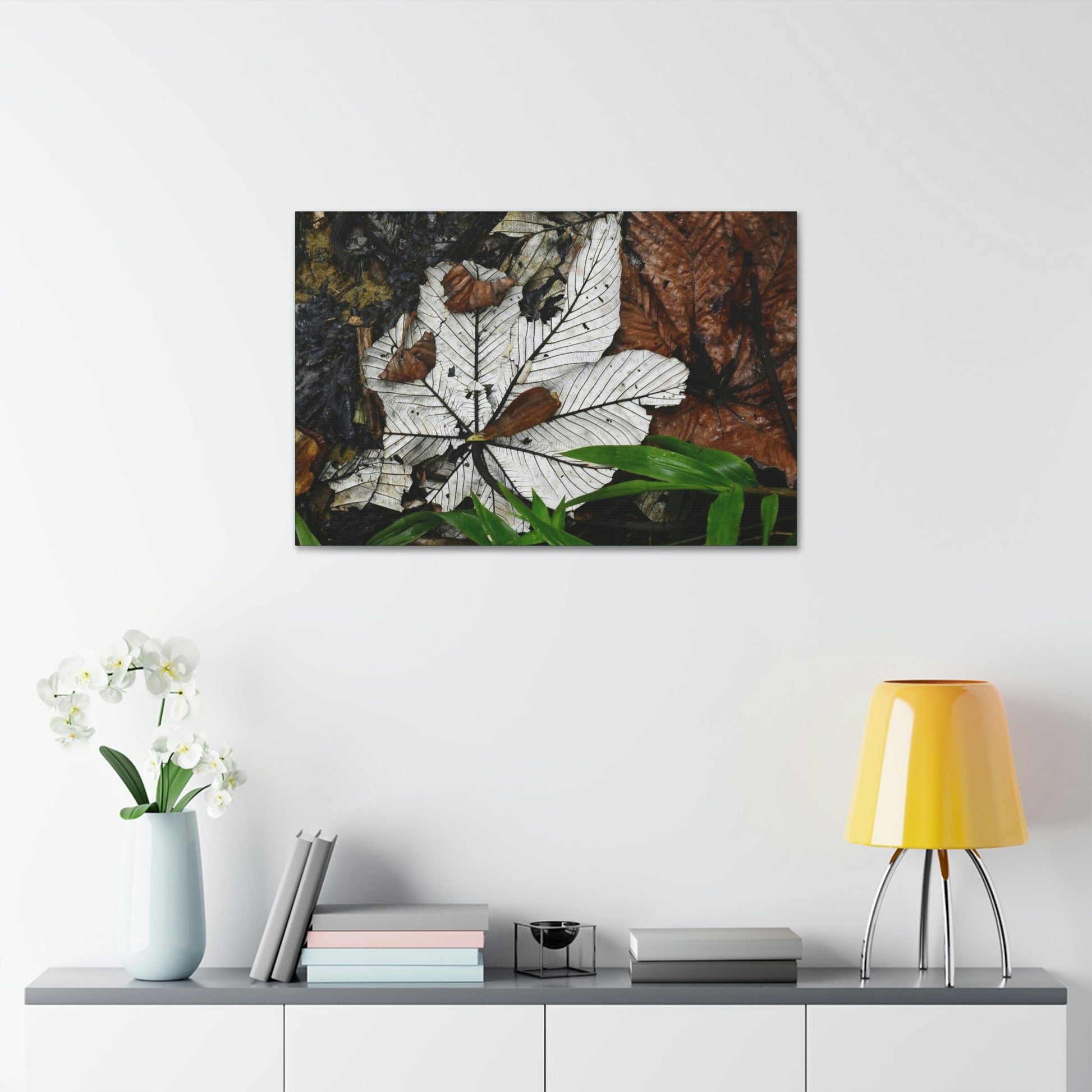Canvas Stretched - Forest@Home - El Yunque - Recovering from Hurricane Maria - Fallen Yagrumo leafs - their two sides - Tradewinds - Green Forest Home