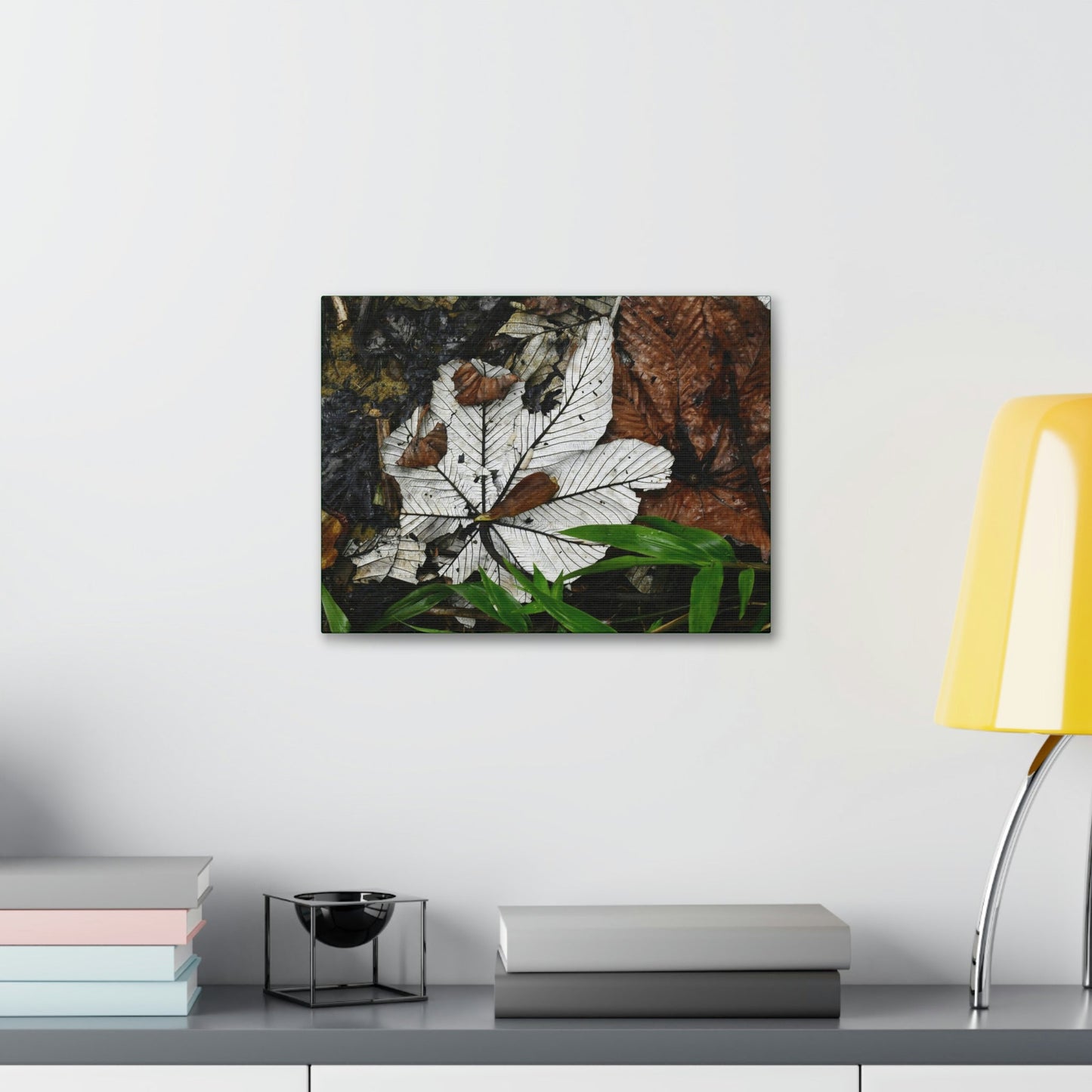 Canvas Stretched - Forest@Home - El Yunque - Recovering from Hurricane Maria - Fallen Yagrumo leafs - their two sides - Tradewinds - Green Forest Home