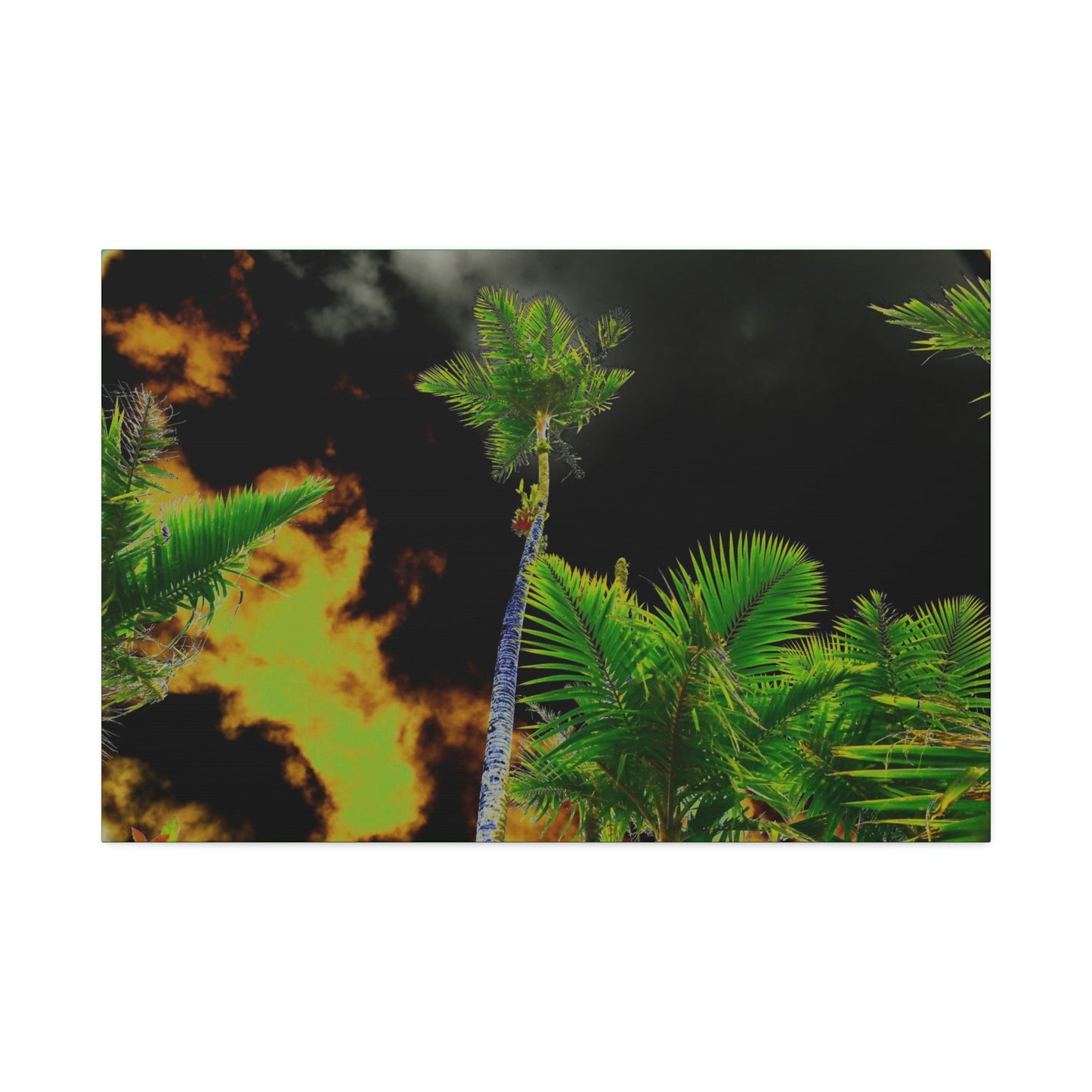 Canvas Stretched - Forest@Home - El Yunque - Recovering from Hurricane Maria - Impacting sky view of Sierra Palms & clouds - color mod - Green Forest Home